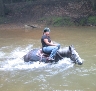 Curly and rider crossing a very deep stream.