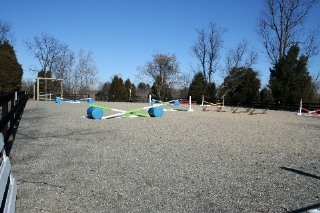 Photo of the 80 x 160 sand/stonedust arena with jumps.