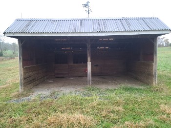 Front pasture run-in shed.