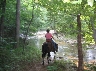 Horse and rider peacefully riding down to a stream crossing.