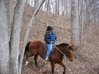 Horse and rider coming down a steep hill in the Winter-bare woods.